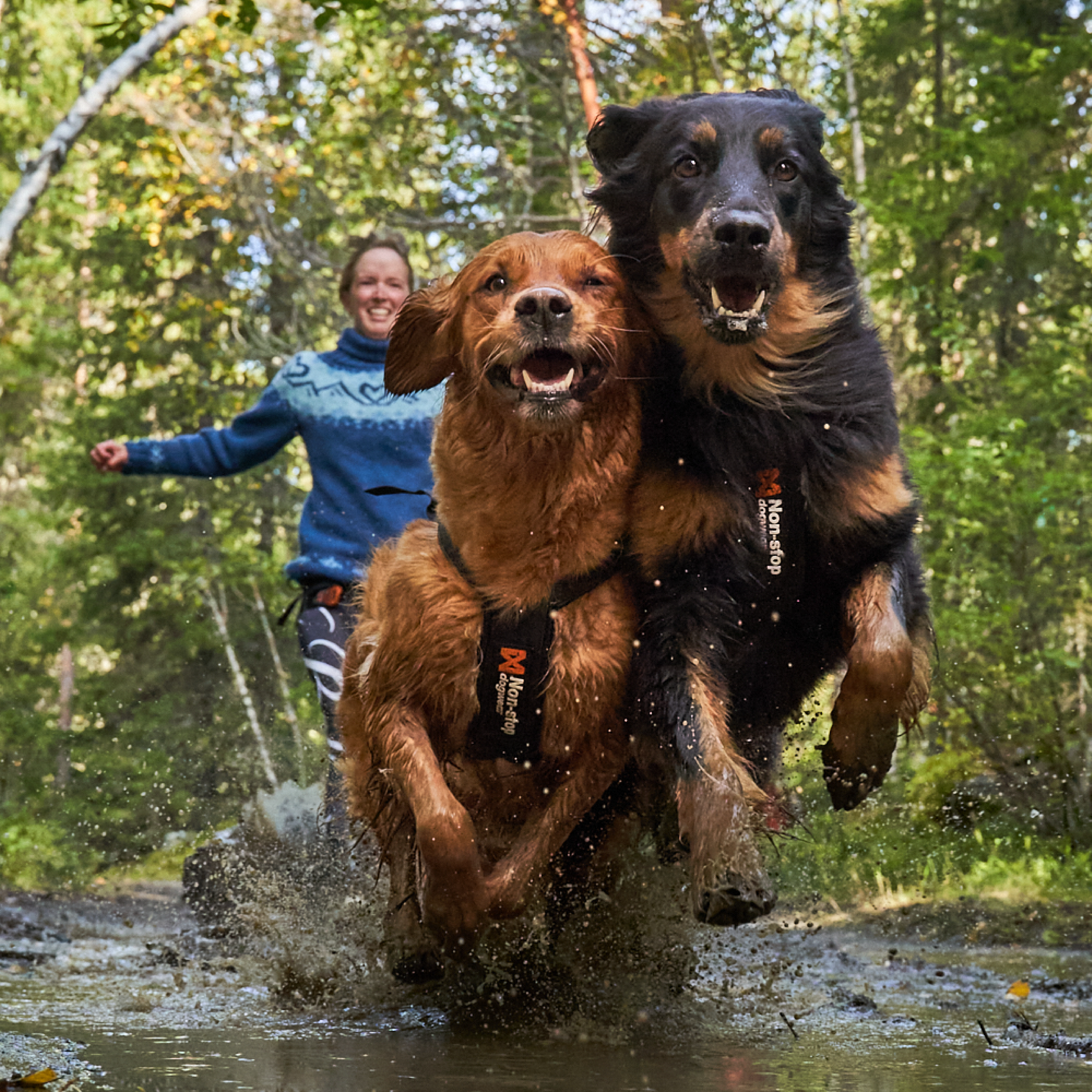 Canicross Gear by  Non-stop dogwear