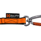 Non-stop dogwear Bungee leash double