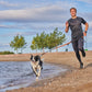 Non-stop dogwear  FREEMOTION HARNESS 5.0