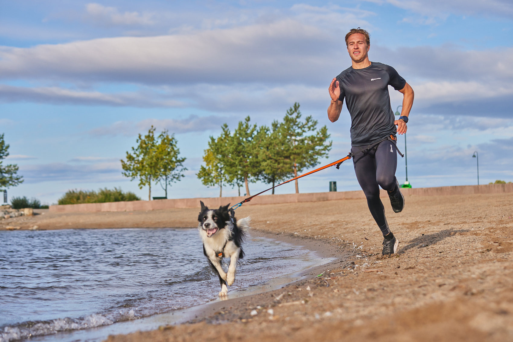Non-stop dogwear  FREEMOTION HARNESS 5.0