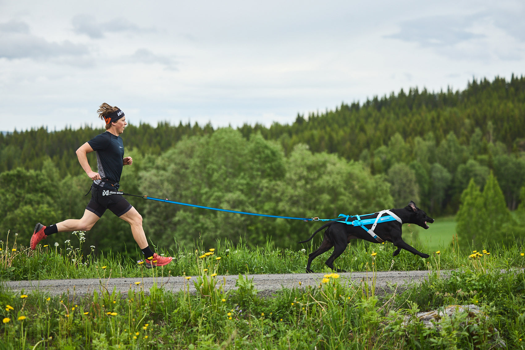 Non-stop dogwear Canix belt pro