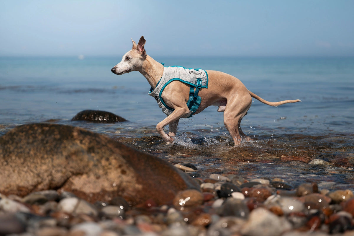 Cooling Vest