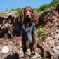 Cooling Vest