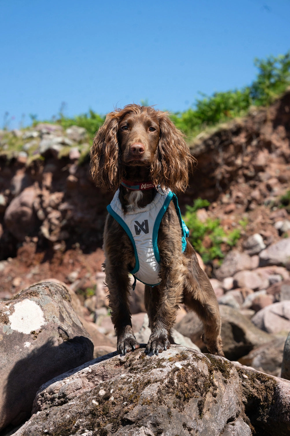 Cooling Vest