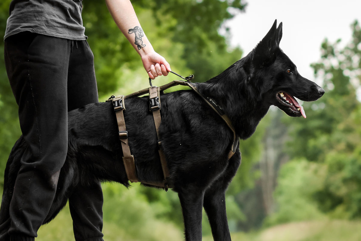 Line Harness - Long WD