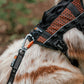 Rock Harness Long