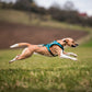 Non-stop dogwear Rush Harness