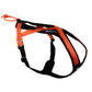 Non-stop dogwear Rush Harness