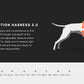 Non-stop dogwear  FREEMOTION HARNESS 5.0