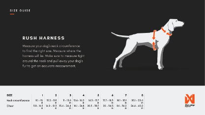 Non-stop dogwear Rush Harness
