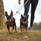 Non-stop dogwear Touring double