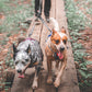Non-stop dogwear Touring double