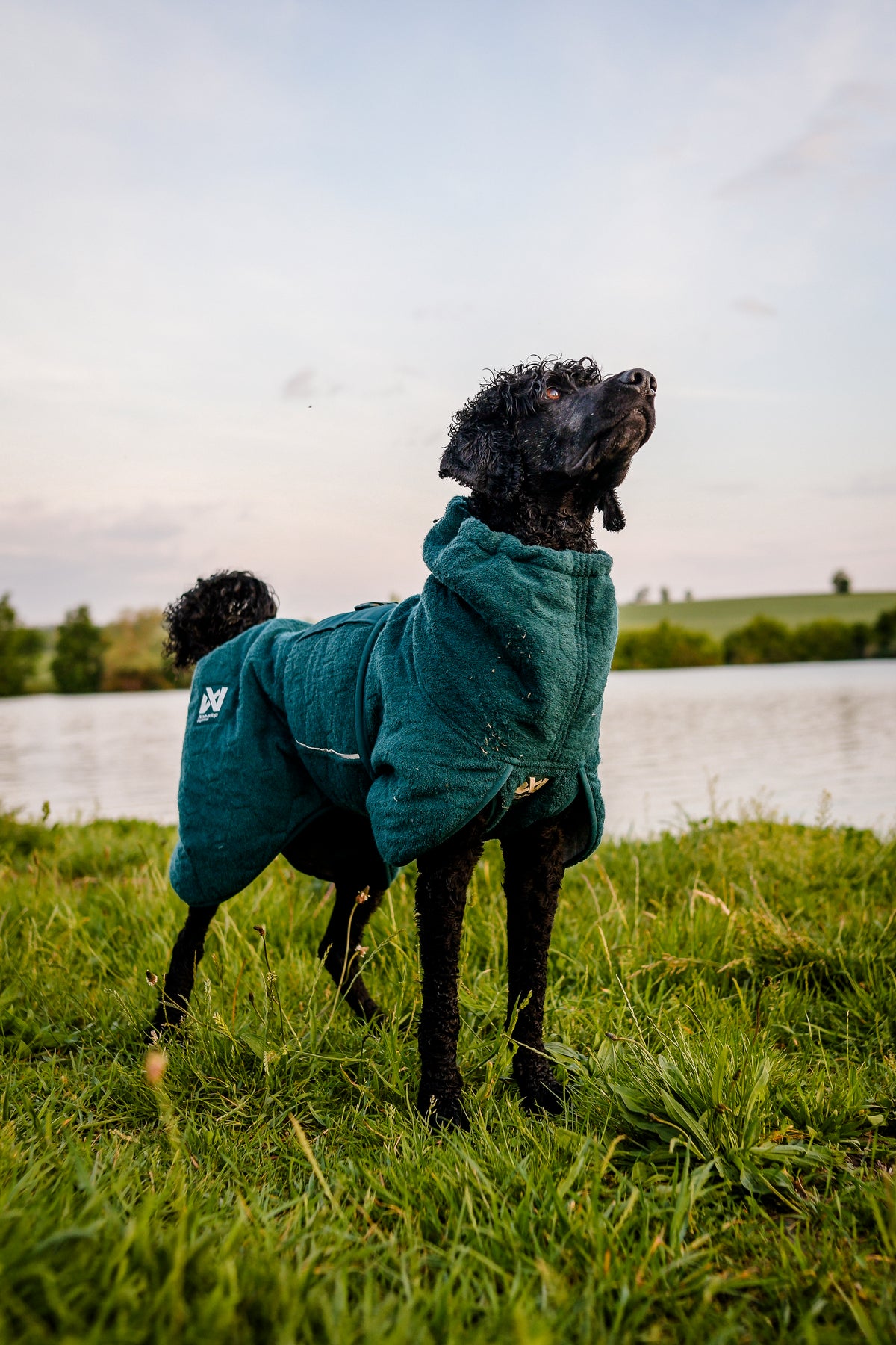 Drying coat